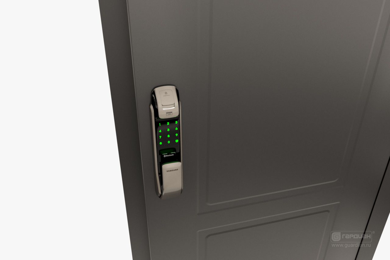 Стальная дверь ДС 2 Гардиан® – Биометрический замок Samsung 728