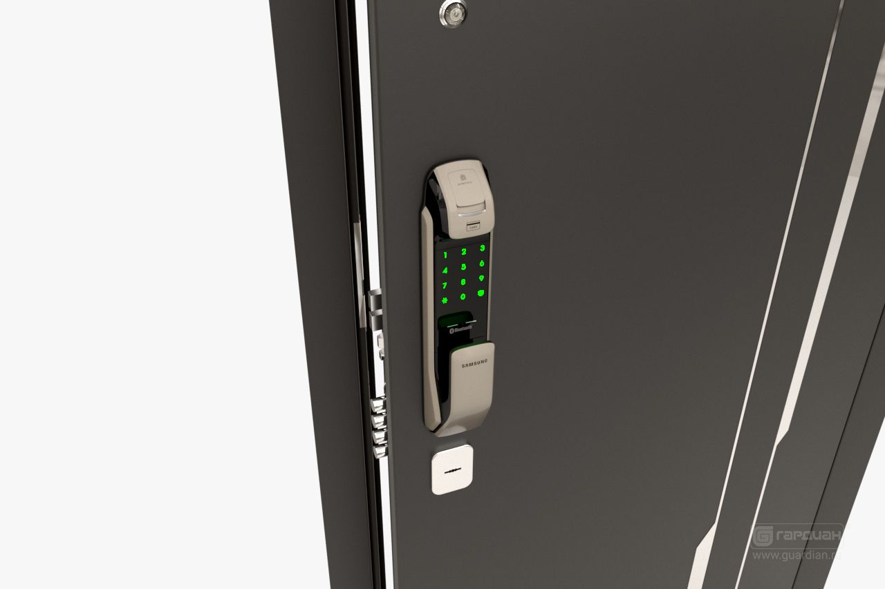 Стальная дверь ДС 9 Гардиан® – Биометрический замок Samsung 728